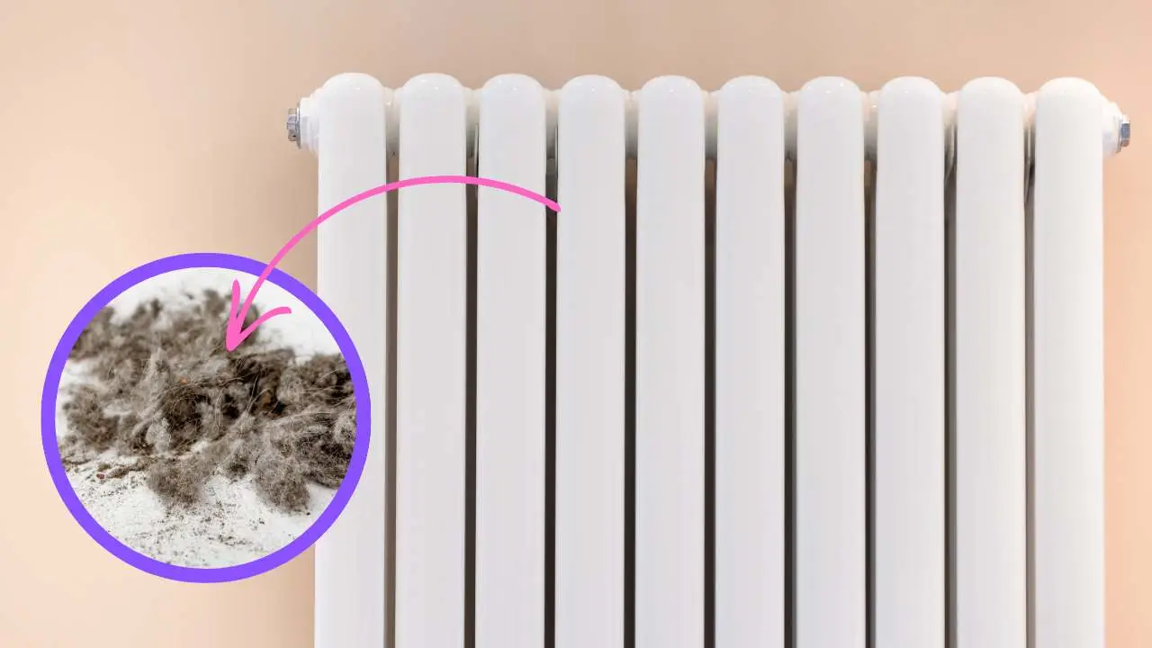 Pulire i termosifoni in autunno: il trucco che aumenta il calore e fa risparmiare