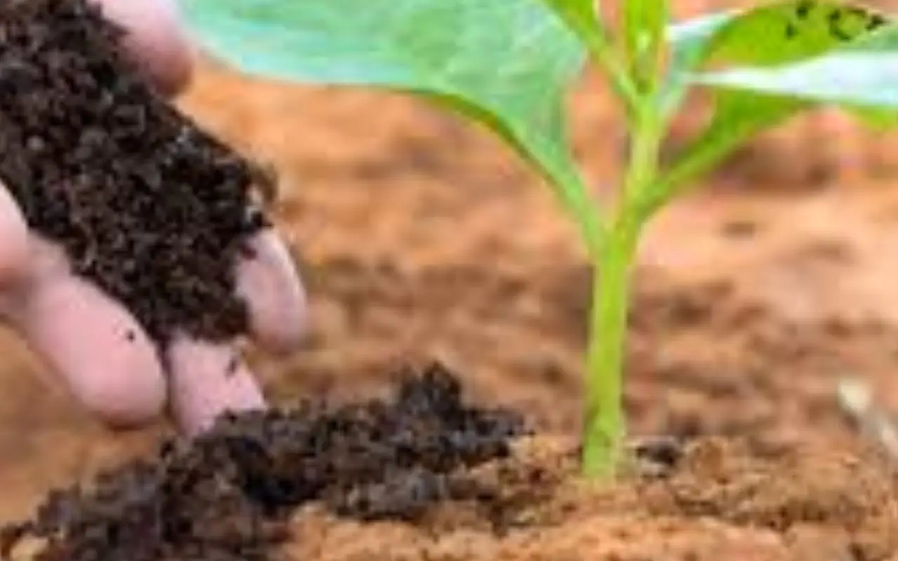 Il trucco per avere sempre terra fertile